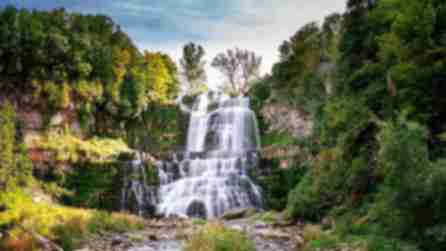 Waterfall at Chittenango Falls State Park and surrounding green grass and trees