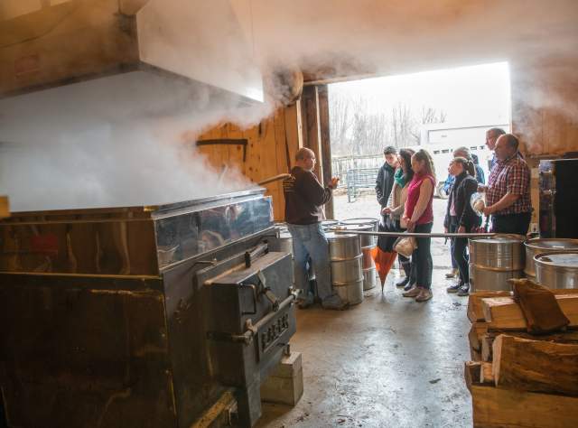 Cronin's Maple Farm during Maple Weekend page
