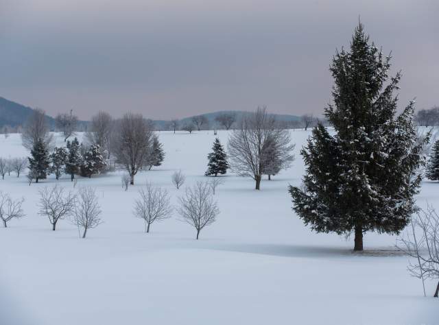 Winter scene along US Route 20 in LaFayette page