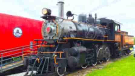 excursion on the Arcade and Attica Railroad