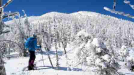 A person in a blue park snowshoes across wintry terrain in the Adirondacks