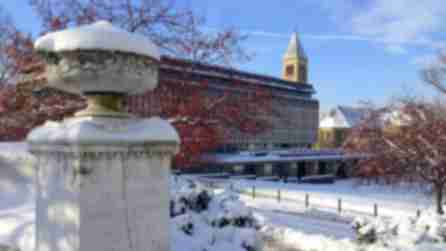 Cornell University - Winter
