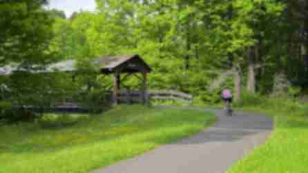 Thomas Kelly Covered Bridge - Allegany State Park