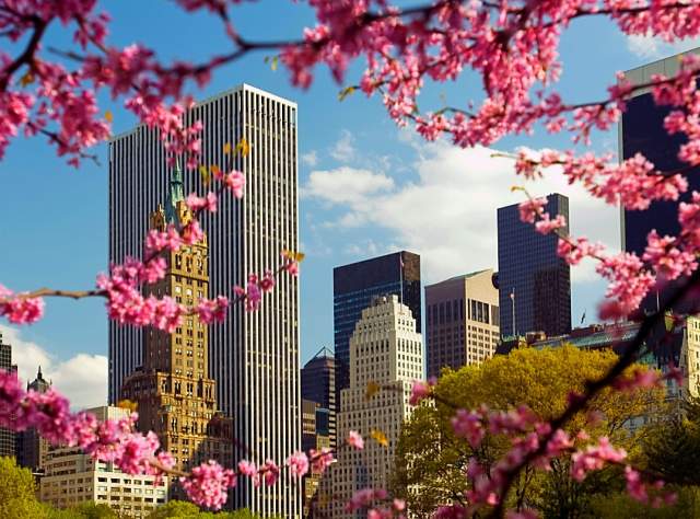 Spring in Central Park page