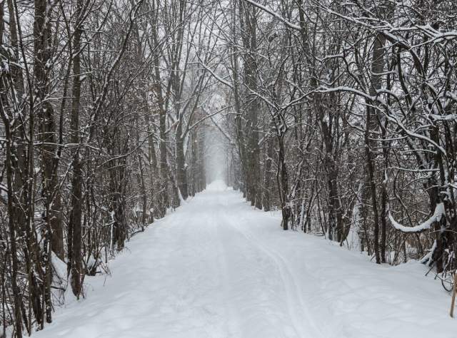 Vischer Ferry Nature & Historic Preserve, Clifton Park page