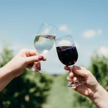 A hand holding a glass of white wine and another hand holding a glass of red wine touch in a toast with a vineyard in the background