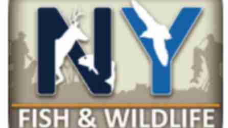 NY Wildlife and Fishing App