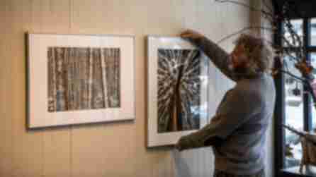 Person hanging artwork in Adirondack Artists' Guild Gallery