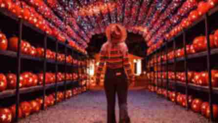 A woman in a striped sweater and cowboy hat walks under a jack o'lantern archway at Blaze: Long Island