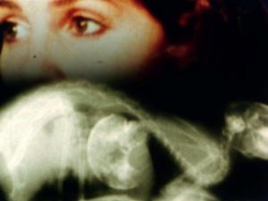 Sanctus (1990), Barbara Hammer. Courtesy the artist’s estate and Electronic Arts Intermix (EAI)