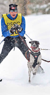 skijoring_man-pulled-by-dog