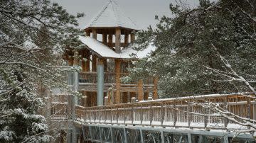An elevated wooden bridge leading to a wooden gazebo surrounded by snow-capped trees.