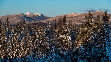 Snow-capped mountain range with snow-covered trees in the foreground