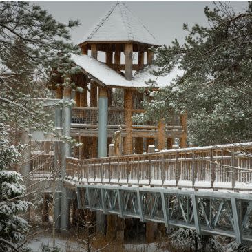 Wooden bridge leads the way to a multi-story wooden gazebo. Snow-capped trees surround the structure