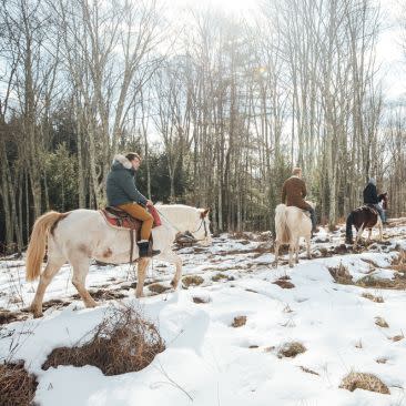 3 people on horses riding one after another on a trail covered in snow