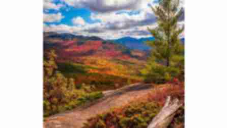 A trail on the Adirondacks High Peaks during the fall season