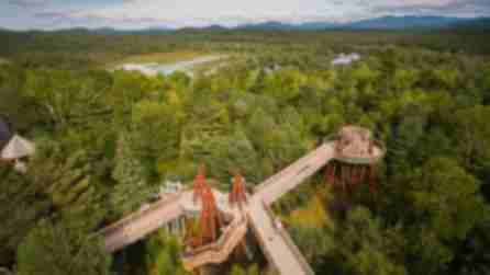 Wild Center and Wild Walk aerial shot of wooden walkways