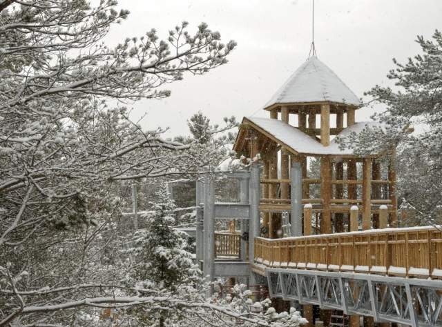 The Wild Walk, Adirondacks page