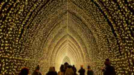 A group of people walking through an archway lined with thousands of yellow fairy lights