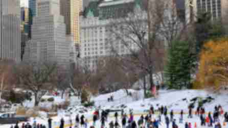 Wollman Rink, NYC - Photo by Julienne Schaer